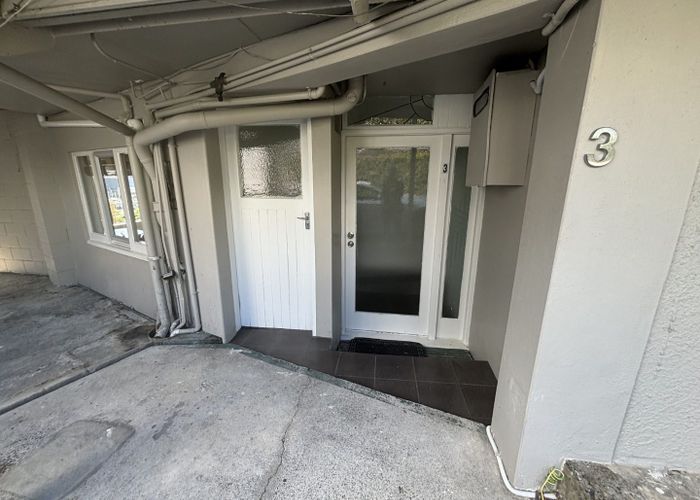  at 3/5 London Street, Saint Marys Bay, Auckland City, Auckland