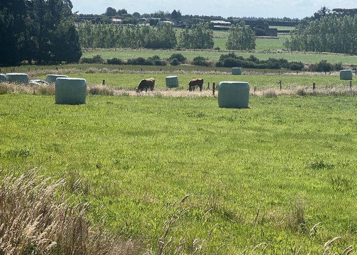  at 31 Woodlands Morton Mains Road, WOODLANDS, INVERCARGILL