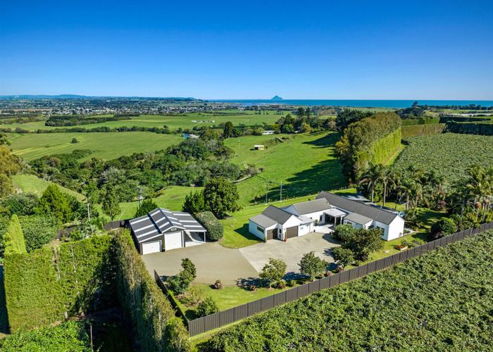  at 304 Tablelands Road, Opotiki