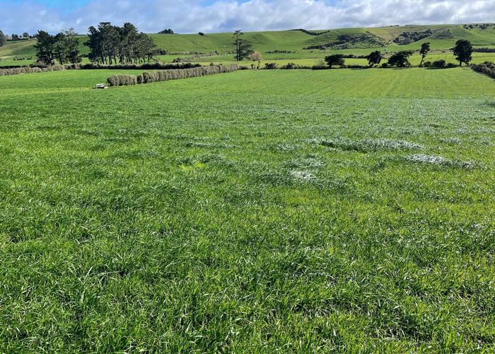  at 165 Rawhitiroa Road, Eltham, South Taranaki, Taranaki