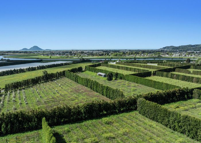  at 37 Selwyn Road, Poroporo, Whakatane, Bay Of Plenty