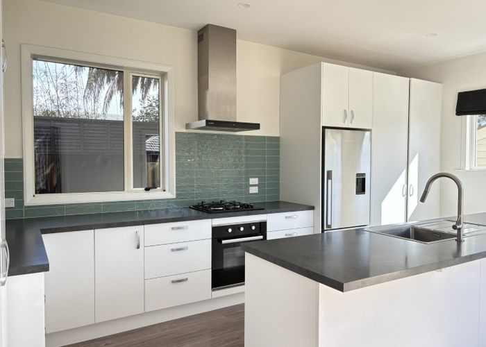  at 19 Rosebery Street, Spreydon, Christchurch City, Canterbury