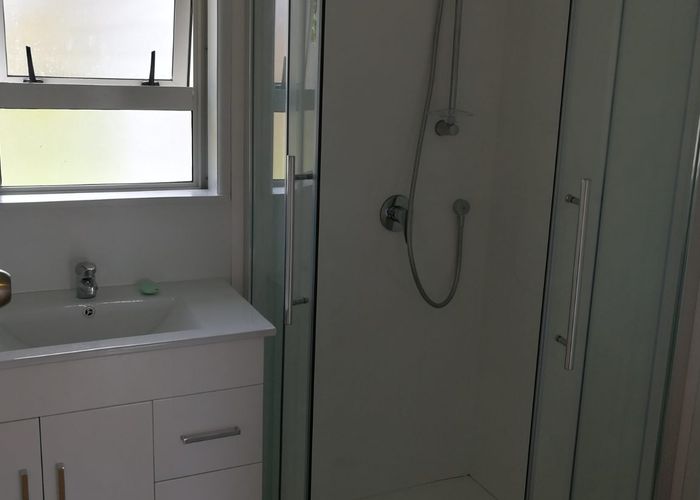  at 19 Mulgan Street, New Windsor, Auckland City, Auckland