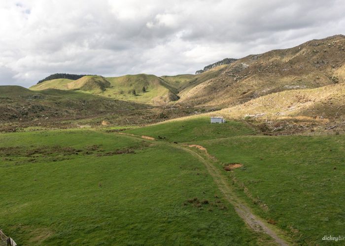  at Pond Road, Raglan, Waikato, Waikato