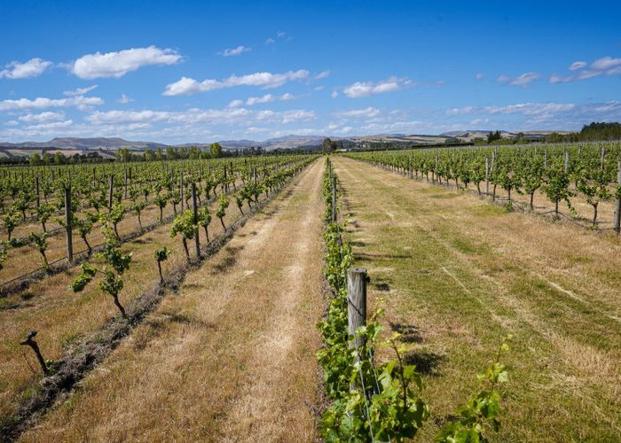  at 220 Omihi Road, Waipara, Hurunui, Canterbury