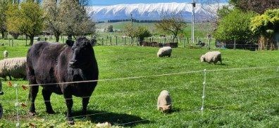  at 2907 Tarras Cromwell Road, Tarras, Central Otago, Otago