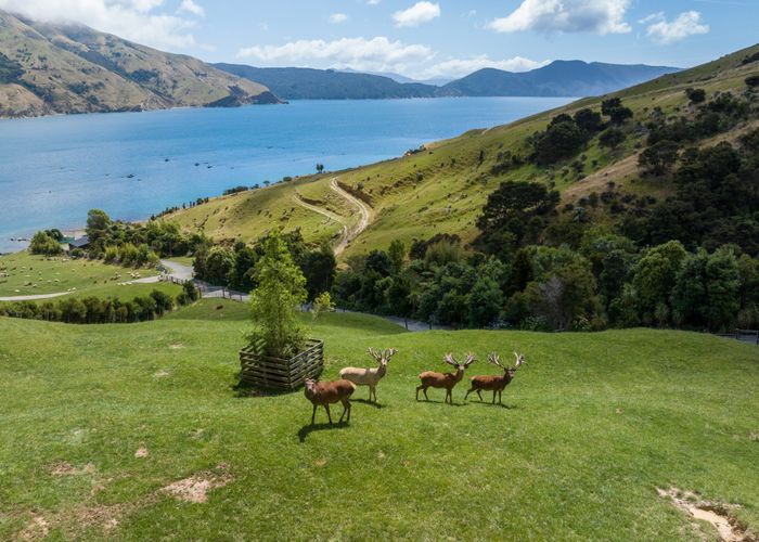  at Lot 1 Anakoha Bay, Marlborough Sounds, Marlborough, Marlborough