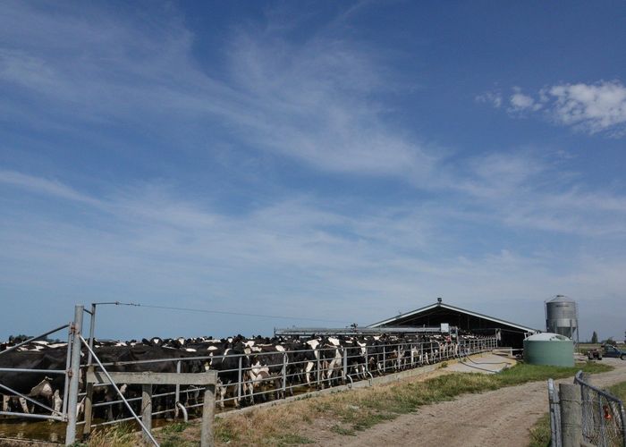  at 558 Seadown Road, Timaru, Timaru, Canterbury