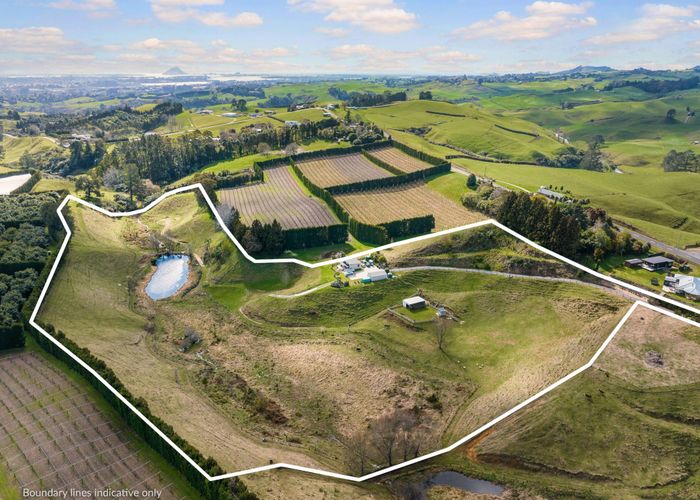  at 90 Hereford Road, Tauranga