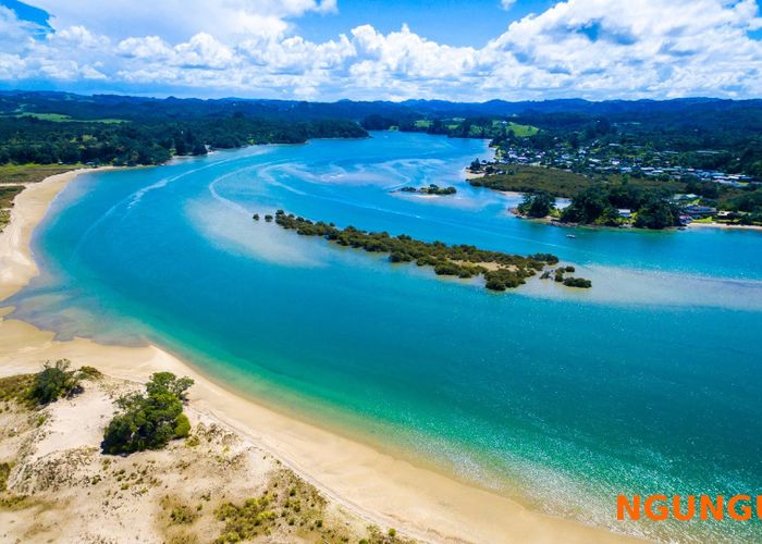 For sale Lot 2 & 3/599 Ngunguru Road, Glenbervie, Whangarei