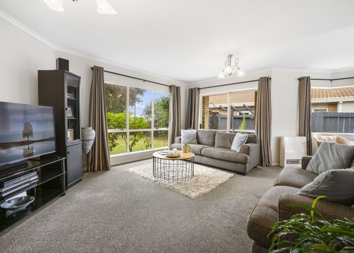  at 113 Gloucester Road, Mount Maunganui, Mount Maunganui