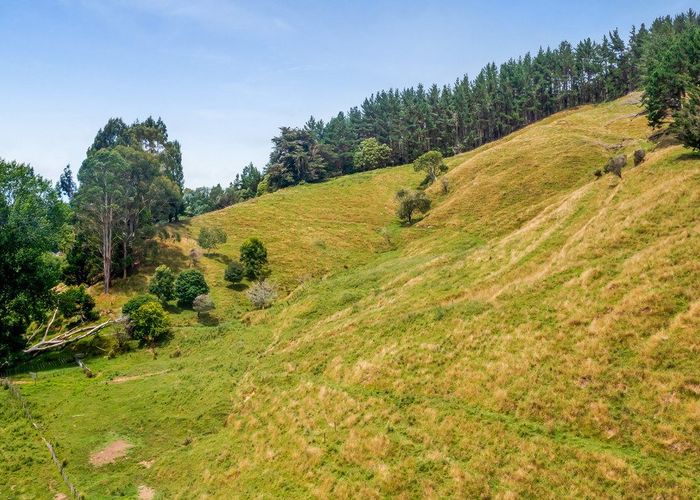  at 600 Tangahoe Valley Road, Ohangai, Hāwera