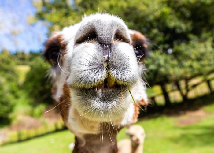  at 68 Tangye Road, Taupo