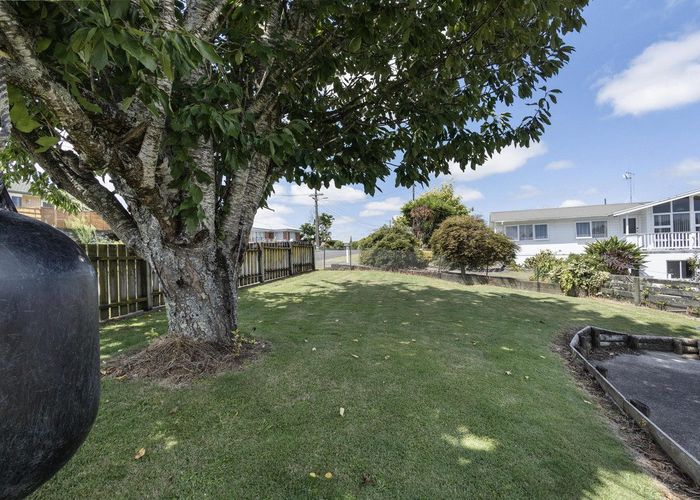  at 2 Lorne Street, Te Awamutu, Te Awamutu