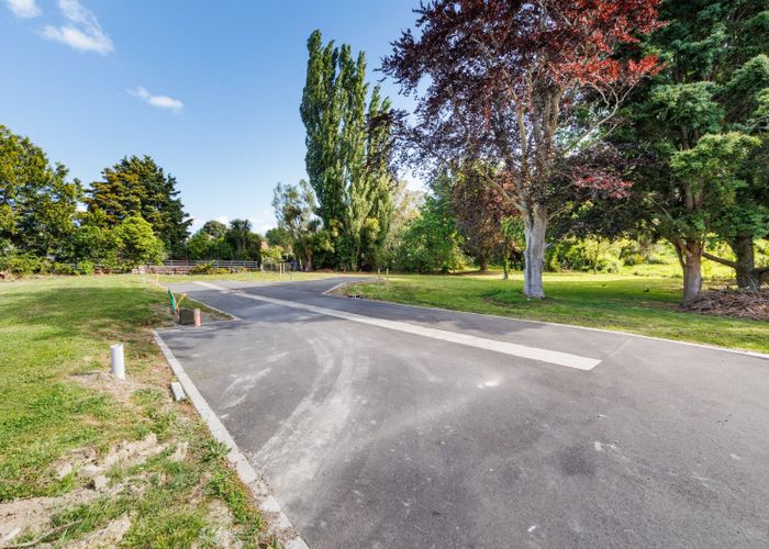  at Albert Street, Hokowhitu, Palmerston North, Manawatu / Whanganui