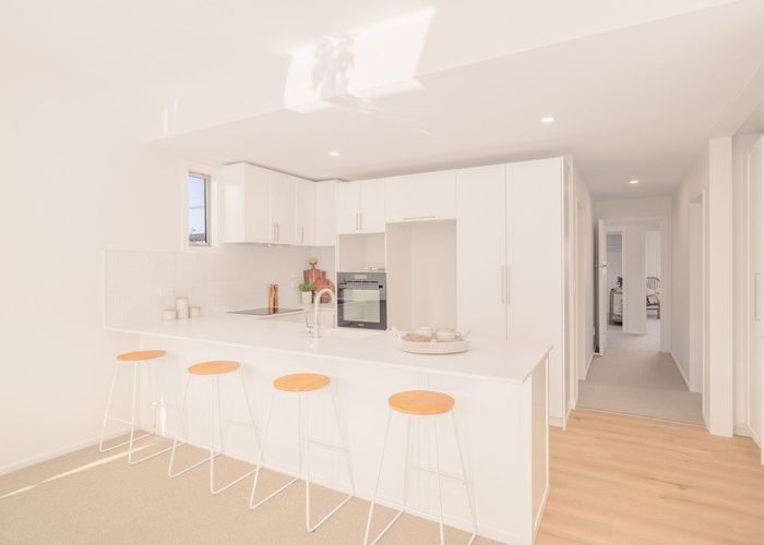  at 115 Edinburgh Street, Spreydon, Christchurch City, Canterbury