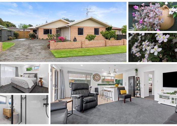  at 15 Pembroke Drive, Bethlehem, Tauranga, Bay Of Plenty