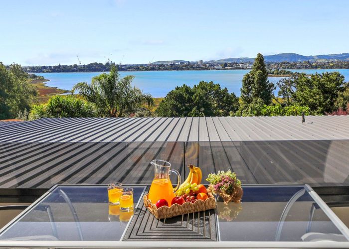  at 3/228 Grange Road, Otumoetai, Tauranga, Bay Of Plenty