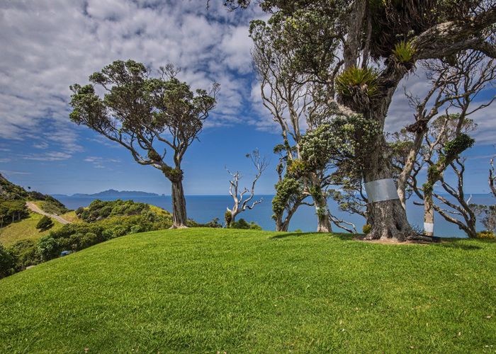  at 21 Tangaroa Road, Mangawhai Heads, Mangawhai
