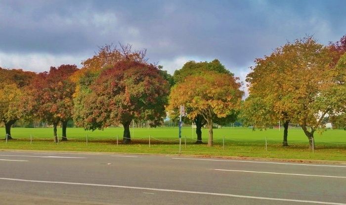  at 588 Harewood Road, Harewood, Christchurch City, Canterbury