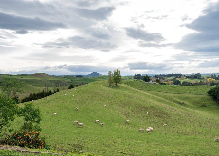  at 613 Matapiro Road, Crownthorpe, Hastings, Hawke's Bay
