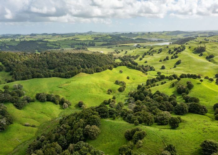  at Mangarata Block Road (63.23 ha), Tangiteroria, Kaipara, Northland