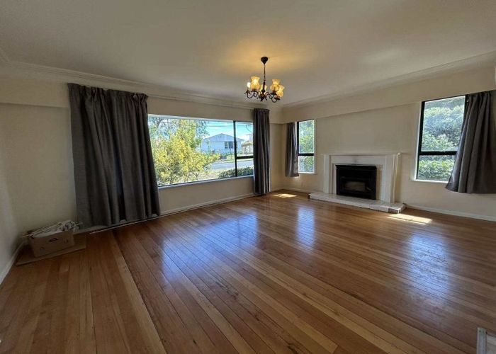  at 20 Heaphy Street, Blockhouse Bay, Auckland City, Auckland