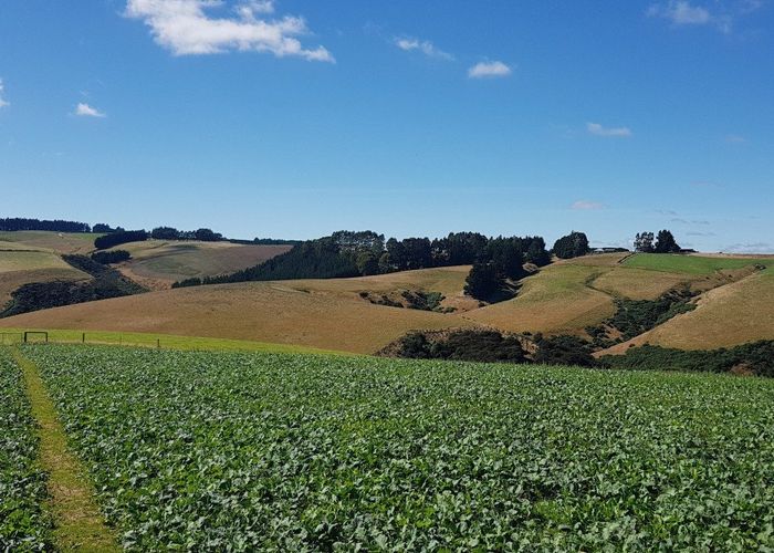  at 890 Mount Stuart Road, Balclutha, Clutha, Otago