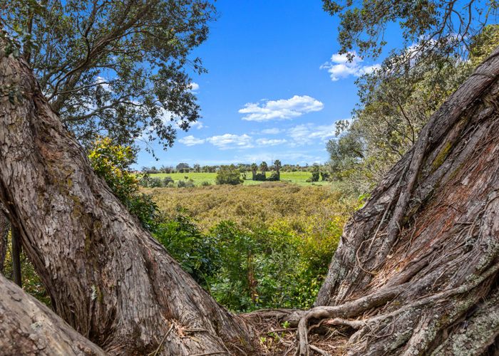  at 31 Seacombe Road, Point Chevalier, Auckland