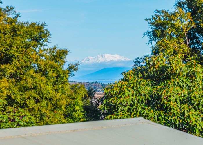  at 101 Shepherd Road, Waipahihi, Taupo, Waikato