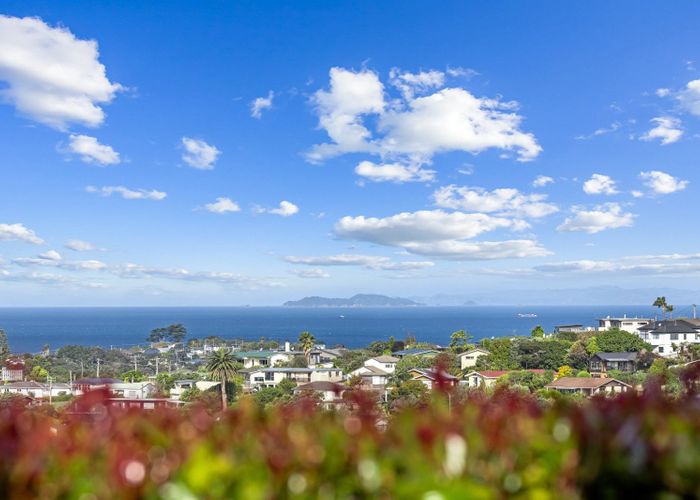  at 8 Woodridge Drive, Stanmore Bay, Whangaparaoa