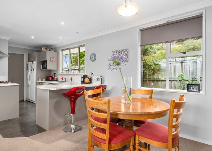  at 17 Coach Road, Fairfield, Dunedin