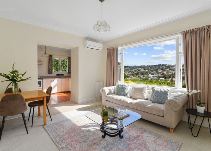  at 49 Tyne Street, Roslyn, Dunedin