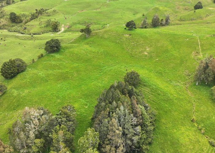  at 593 Peria Road, Peria, Far North, Northland