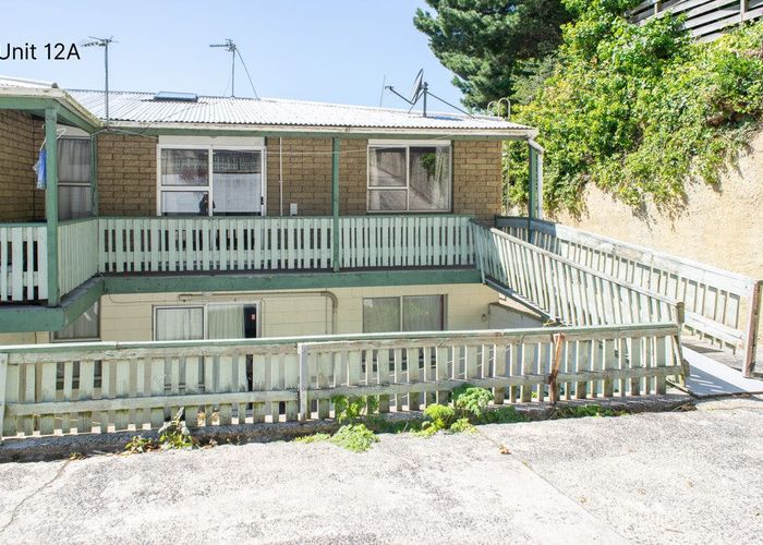  at 19 William Street, City Centre, Dunedin, Otago