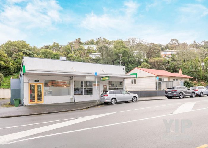  at 103 & 105 Newlands Road, Newlands, Wellington, Wellington