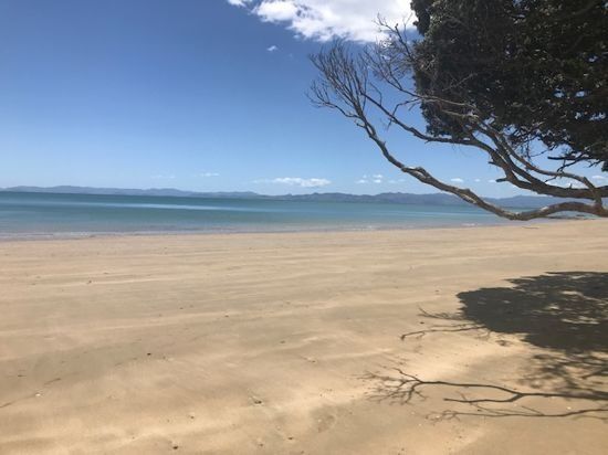  at 201 Howard Road, Orere Point, Manukau City, Auckland