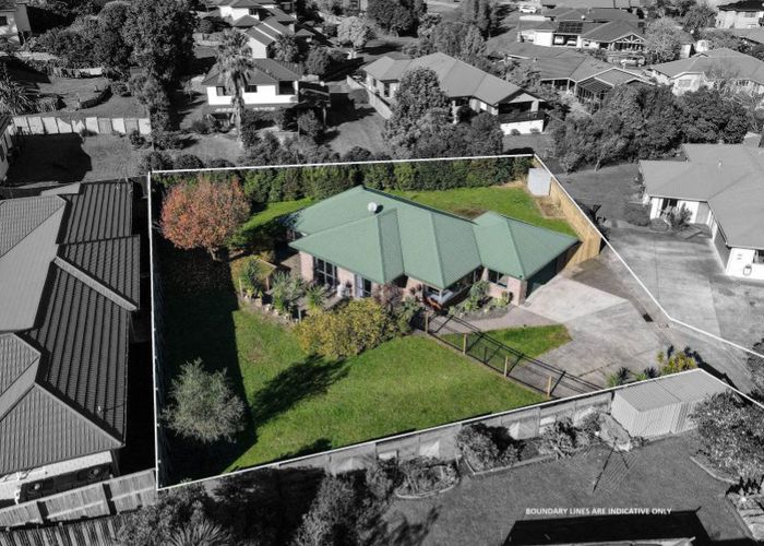  at 215 Grandview Road, Grandview Heights, Hamilton, Waikato