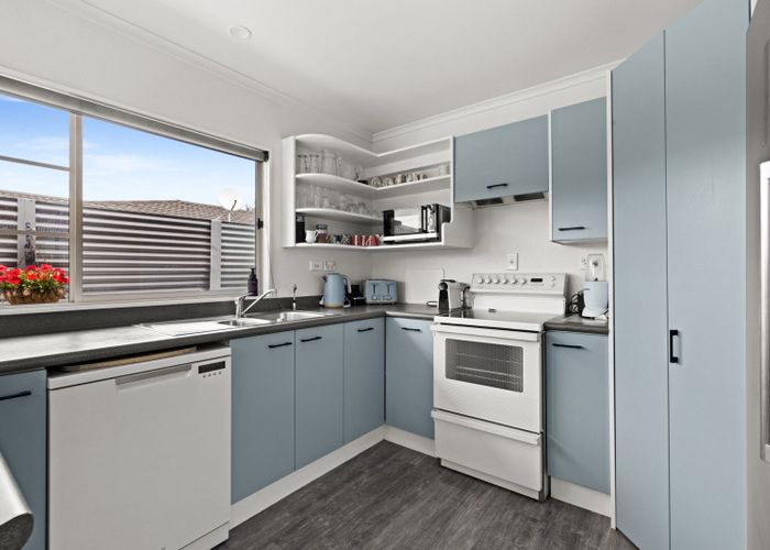  at 509 Burnett Street, Mahora, Hastings, Hawke's Bay