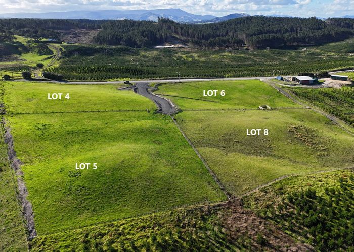  at Lt 4,5,6,8 Babylon Coast Road, Dargaville, Kaipara, Northland