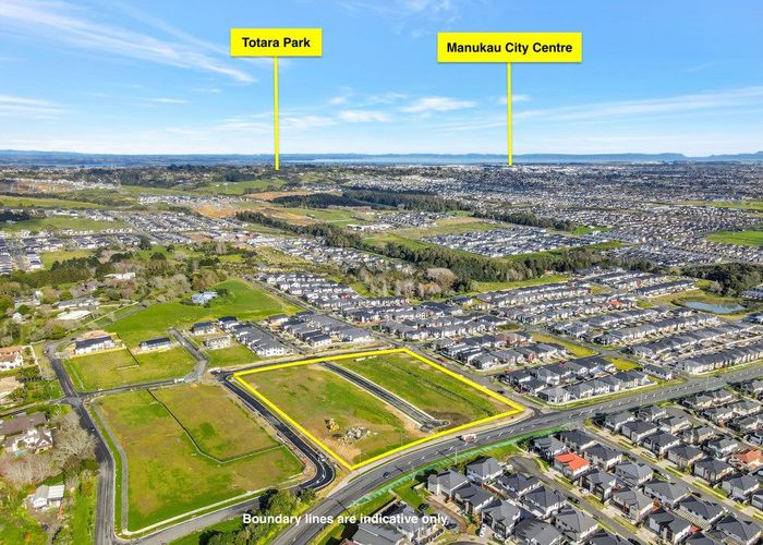 For sale 459 Ormiston Road, Flat Bush, Manukau City, Auckland homes