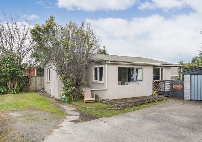  at 318 Botanical Road, West End, Palmerston North