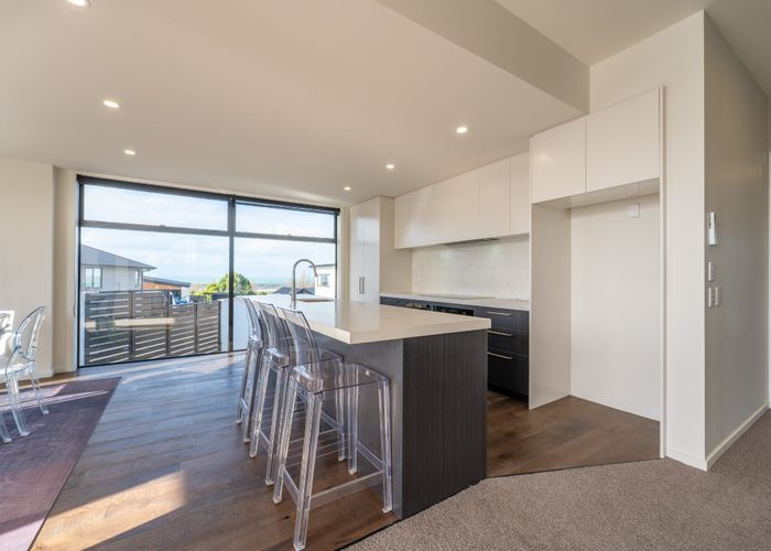  at 17 Lancewood Terrace, Oceanview, Timaru, Canterbury