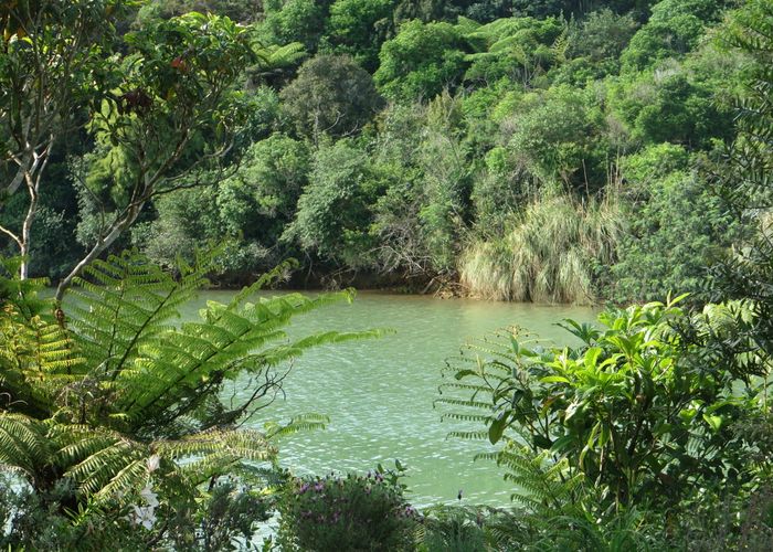  at 17A Smith Street, Raglan, Raglan