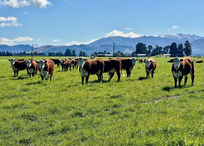  at 231 Keens Road, Sheffield, Selwyn, Canterbury