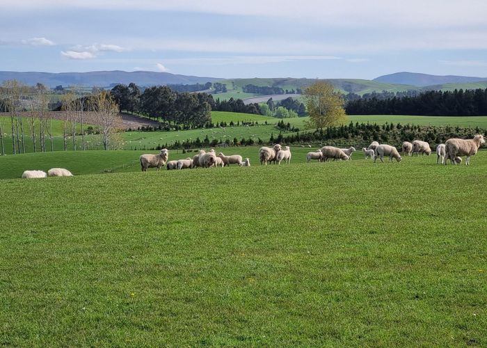  at 191 Chapman Road, Balclutha, Clutha, Otago
