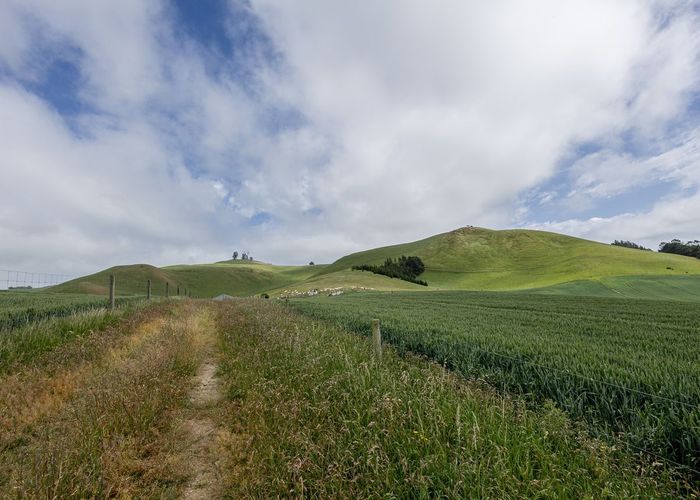  at Windsor, Waitaki, Otago