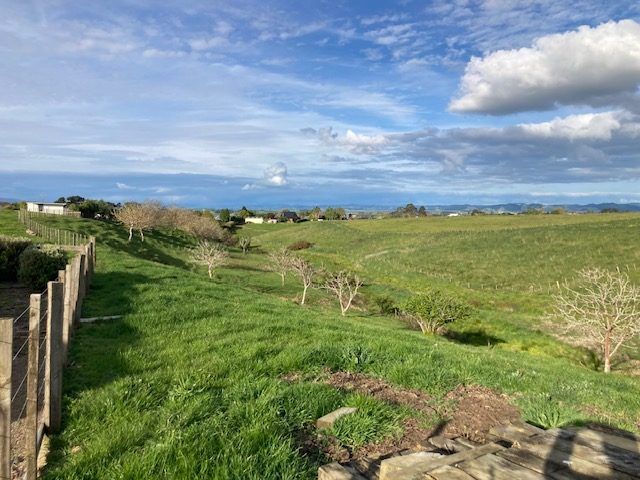  at 156 Morrison Road, Pukekawa, Franklin, Auckland