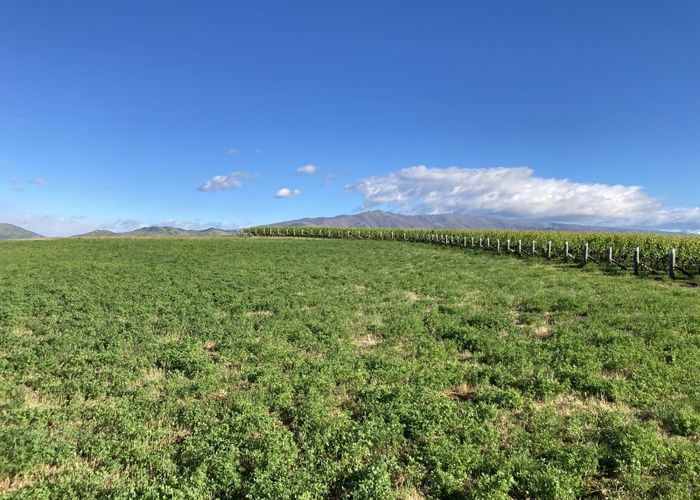  at Lot 40 McArthur Road, Alexandra, Central Otago, Otago