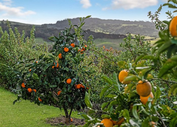  at 29 Beachwood Drive, Hatfields Beach, Orewa